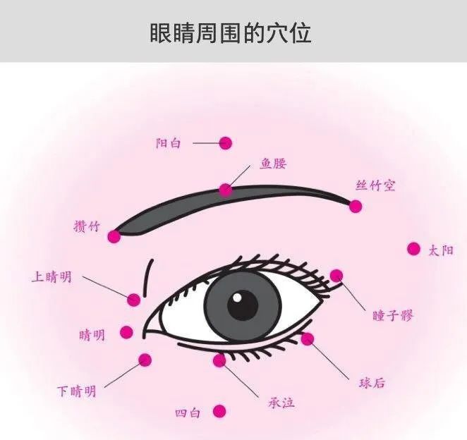 目内眦的准确位置图片图片