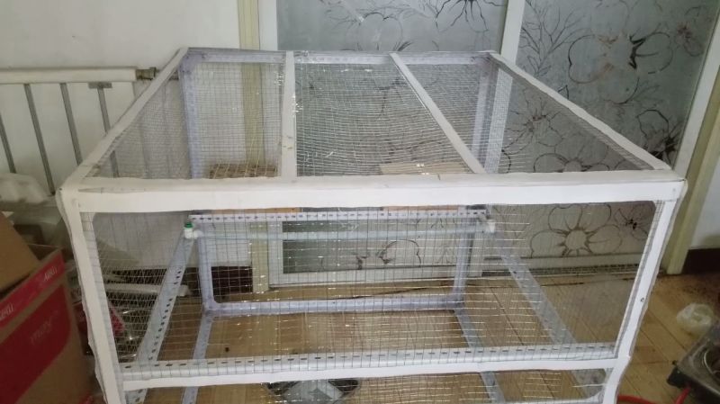 花400多元diy超大号鸟笼 放4个繁殖箱 目前遇到的问题是没有门 生活 生活小技巧 好看视频 花400多元diy超大号鸟笼 放4个繁殖箱 目前遇到的问题是没有门 生活 生活小技巧 好看视频