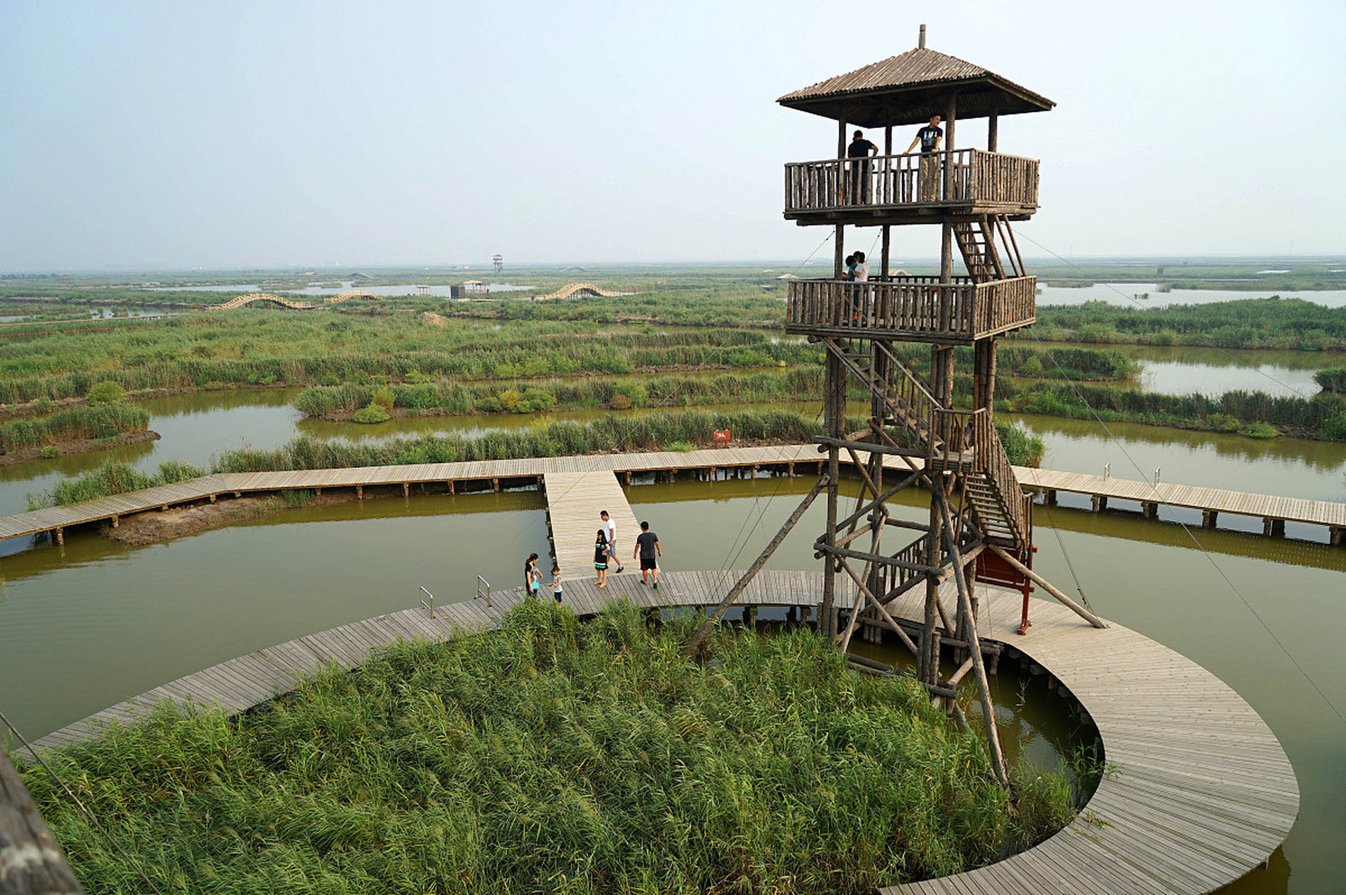 镜头里的春天# 成子湖湿地公园位于江苏省宿迁市泗阳县,是一个集商