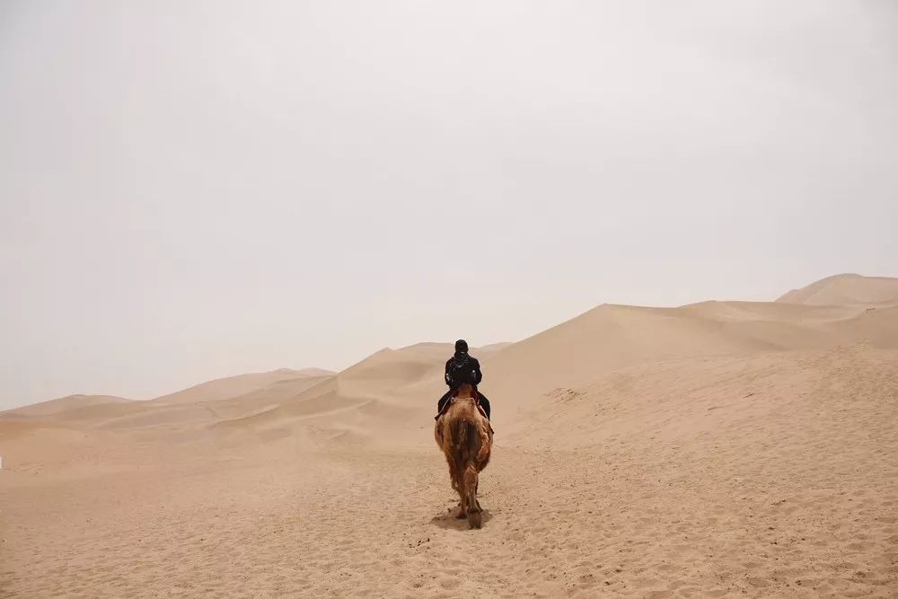茶烟缭绕,迢迢云路伴句香「读茶行者洪漠如行记」
