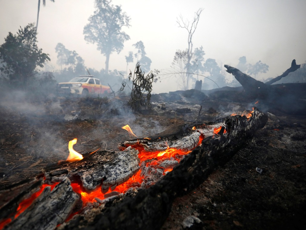 亚马孙热带雨林大火持续 树木被烧成焦炭