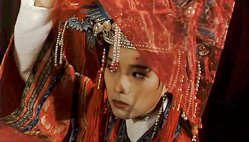 梁朝伟,王祖贤,甄子丹,杨紫琼演四角恋,姻缘不易,且行且珍惜