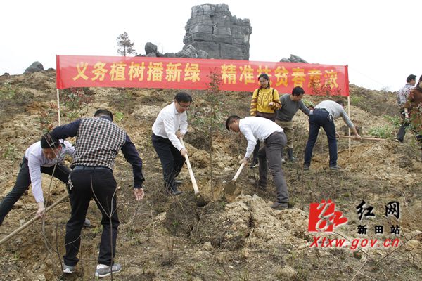 易先平率队到新田石甑源村开展义务植树活动