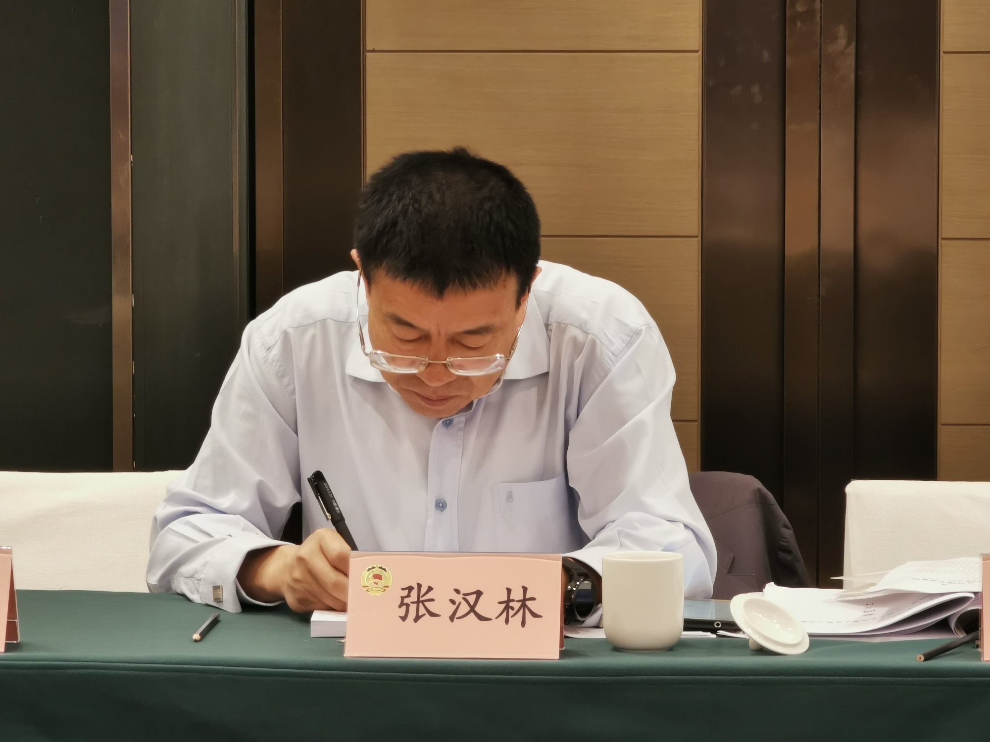 「代表委员热议·高质量发展」张汉林委员:以绿色发展推动高质量发展