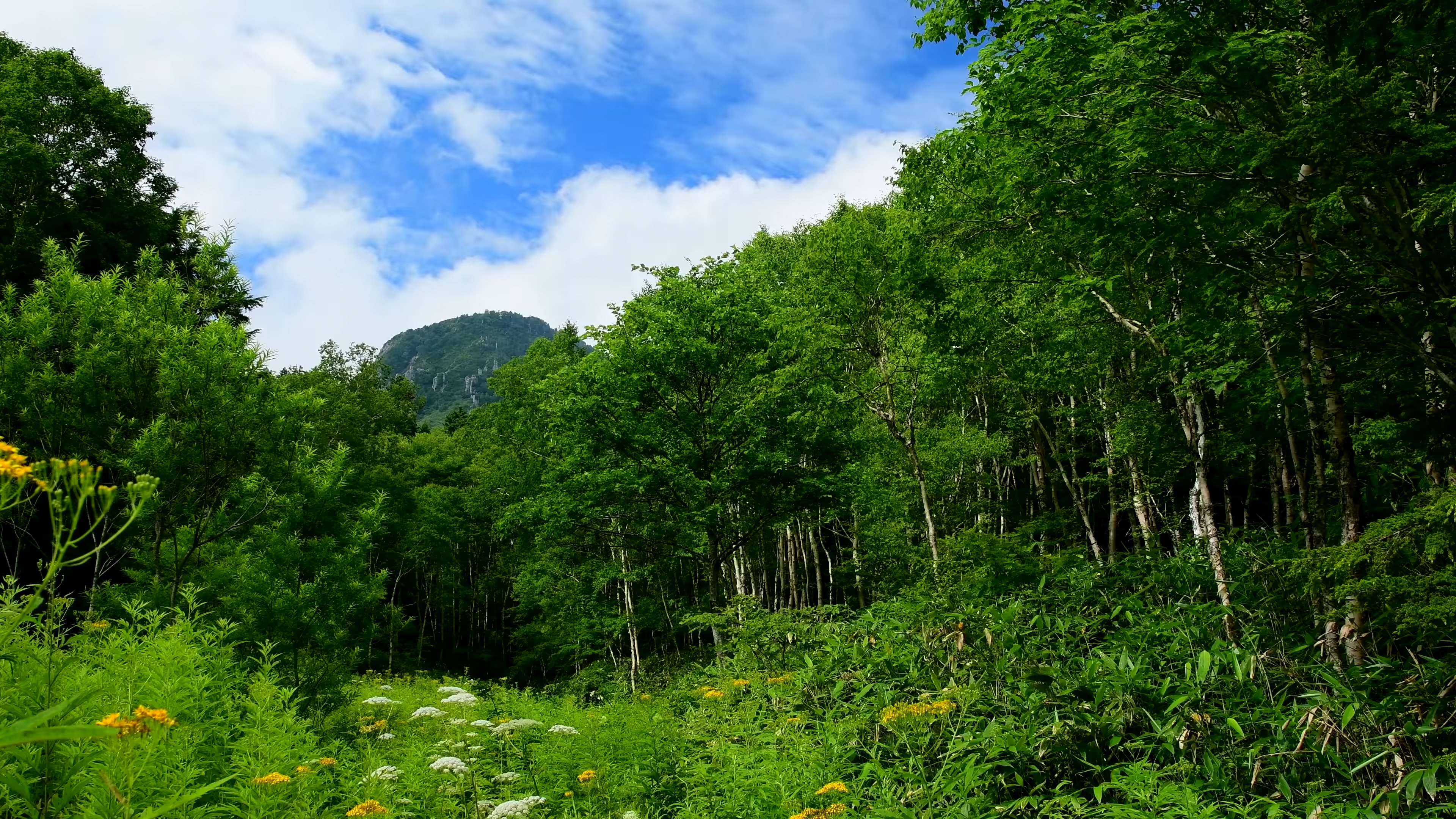 静态风景 第四期