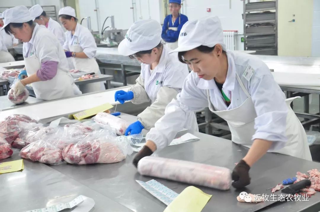 什么样的加工流程才能出合格的羊肉?