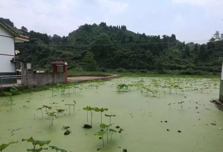 神秘净土沅陵莲花池土司城