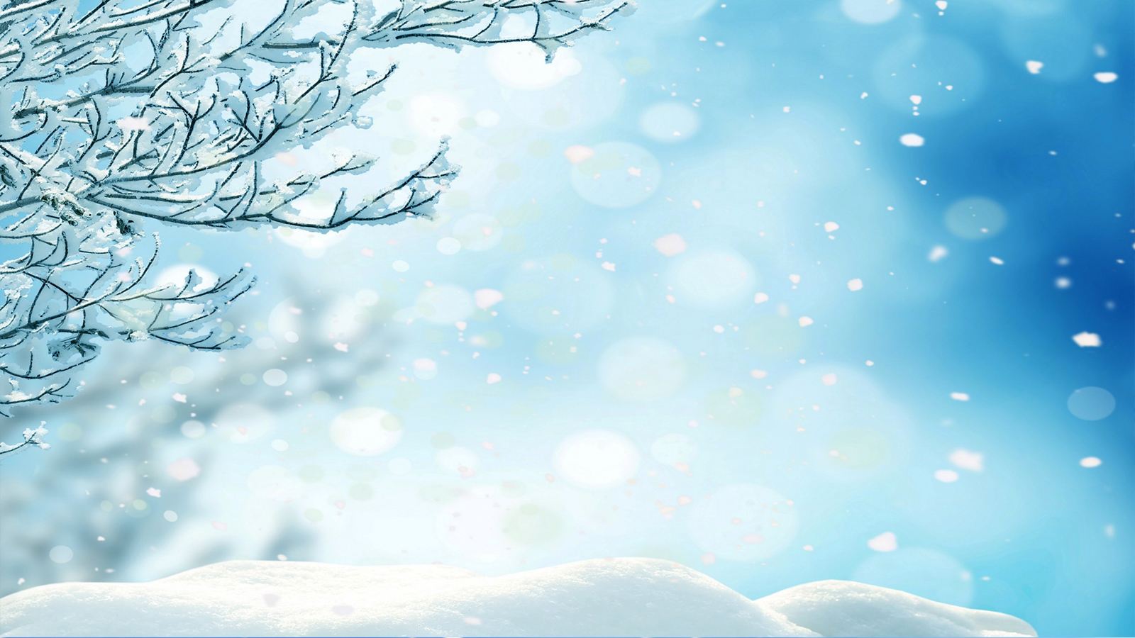 20个适合在下雪天读的句子 好美 值得分享