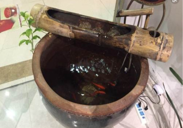 为什么农村很多人喜欢在喝水的缸里养鱼?答案说出来你可能不信