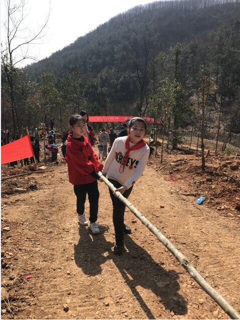 武汉市首义路小学到蔡甸嵩阳林场开展义务植树活动