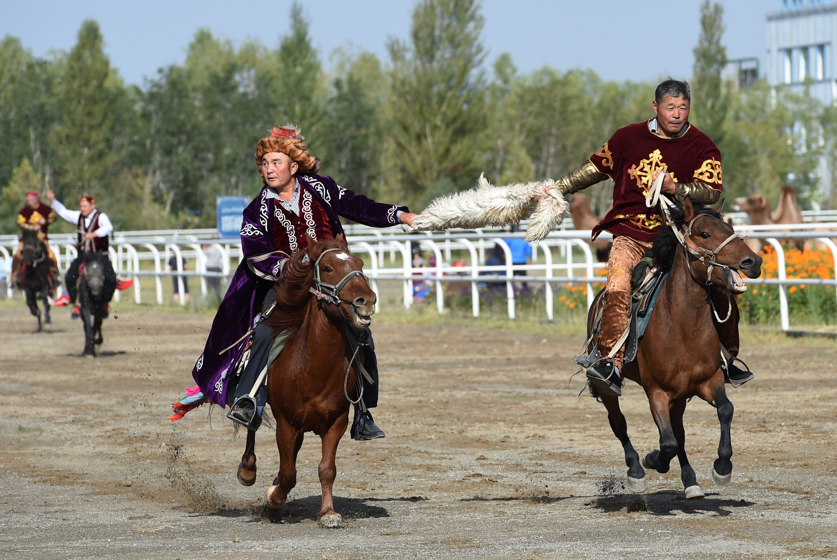 "马背民族"的赛马盛会