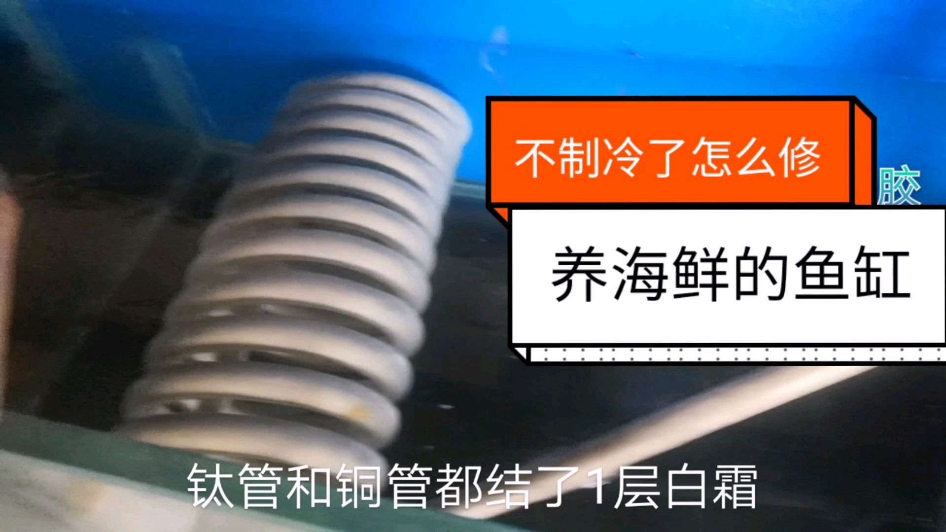 养海鲜的鱼缸不制冷了,看师傅怎么把它修好的