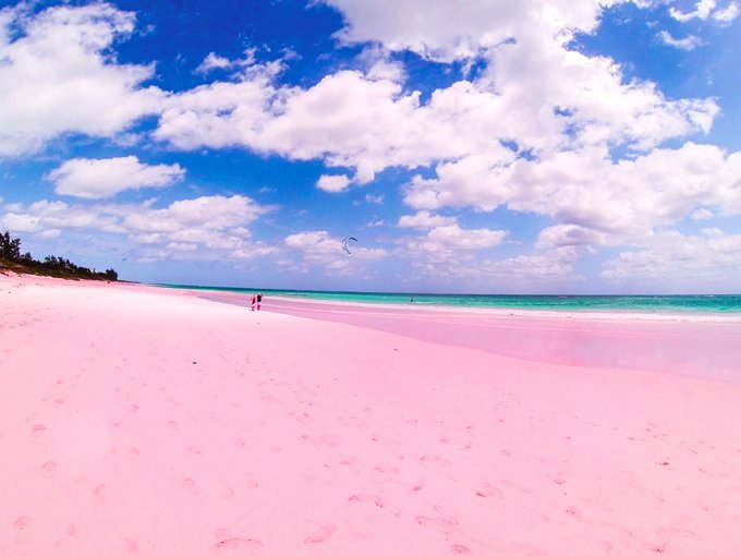 你目睹过粉色沙滩的风采吗?巴哈马群岛邀你来看