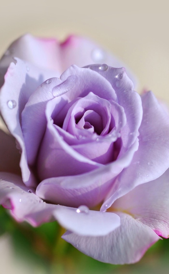 让人过目难忘的人生感悟,经典有内涵,值得细细品读!