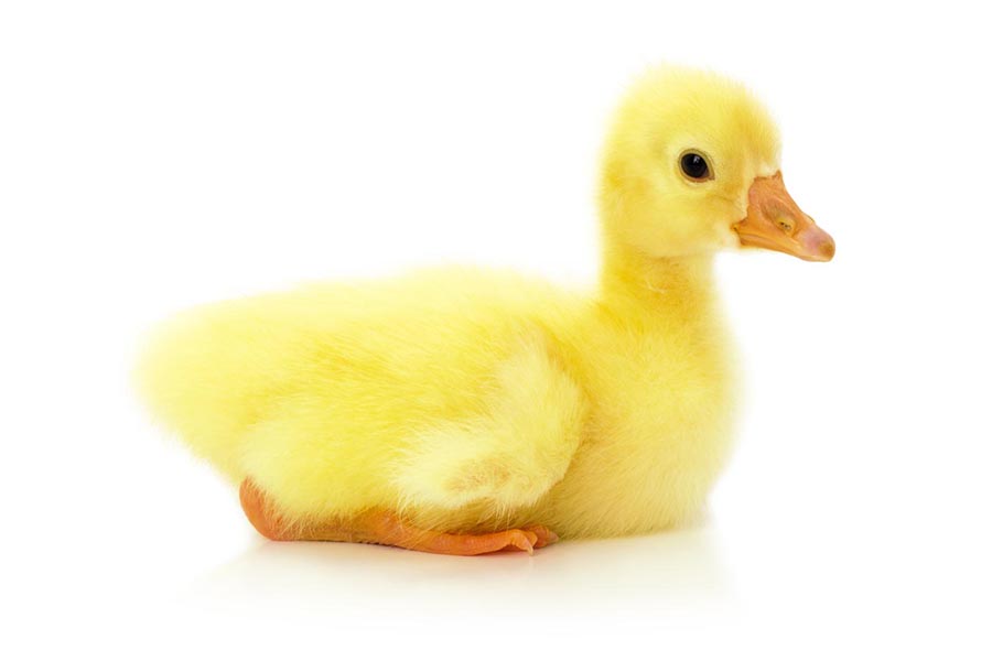 卫生- 热门商品专区