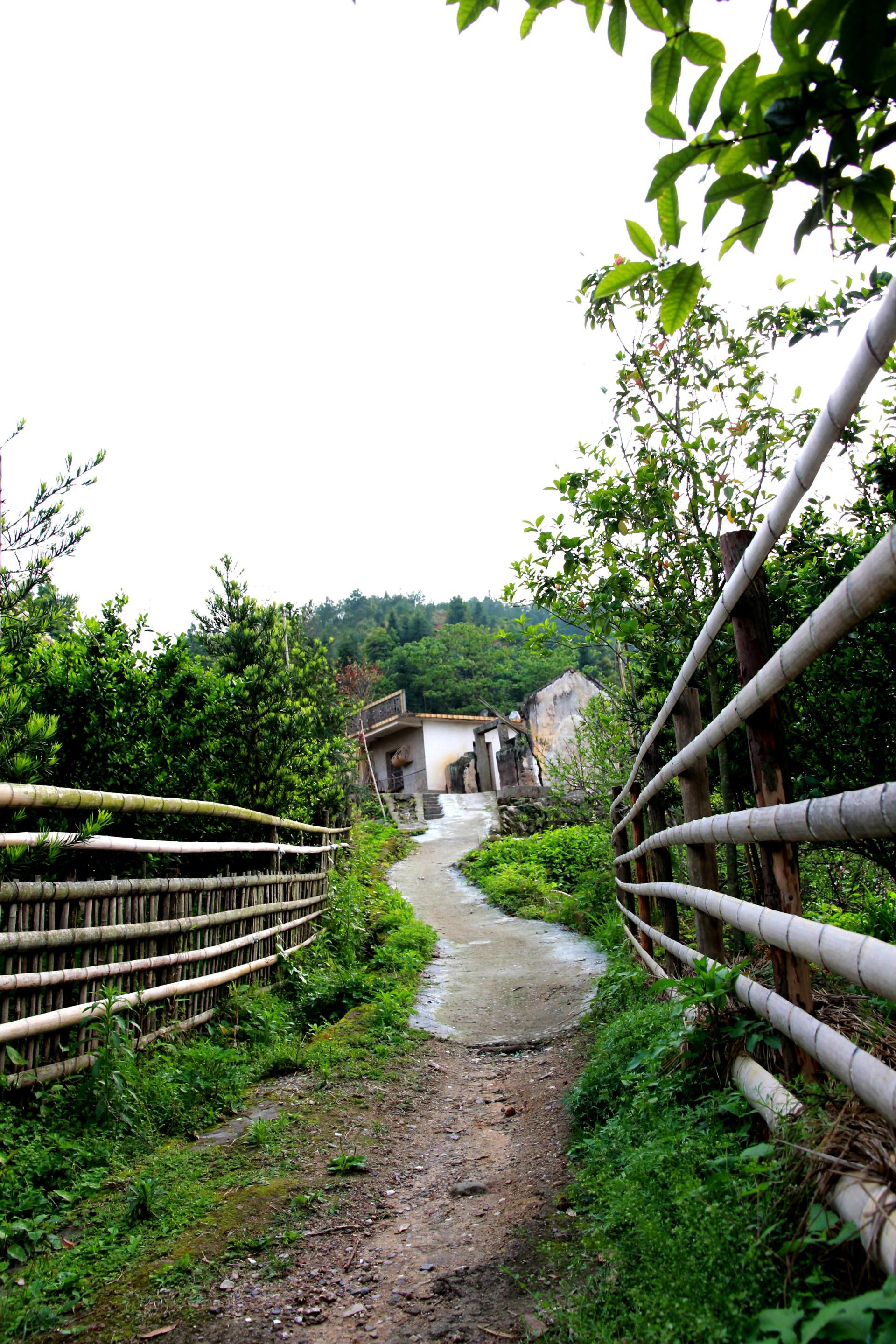 广东平远山村风貌