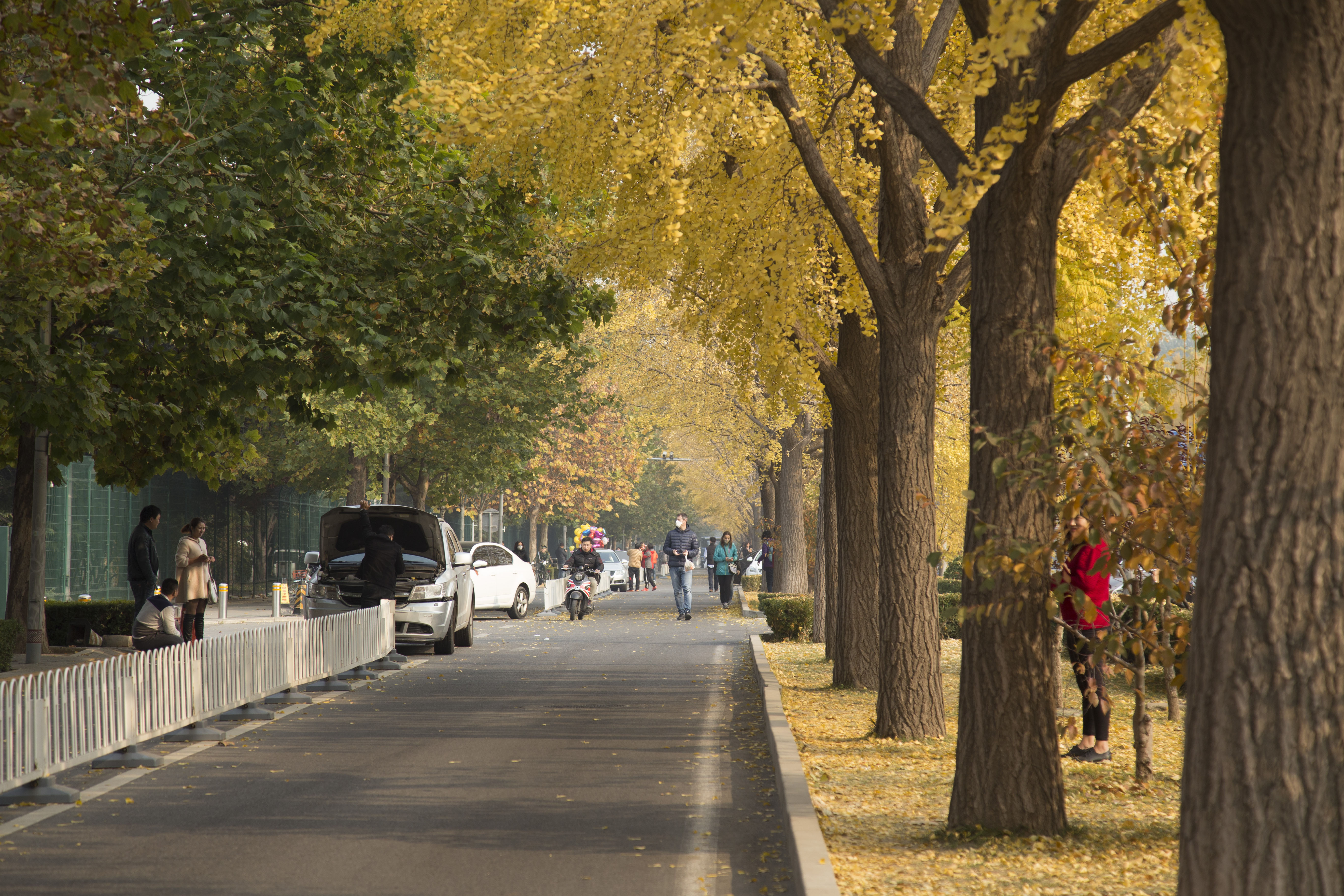 北京满城走遍寻秋色,看看京城的秋天有多美,为什么秋天要住北平