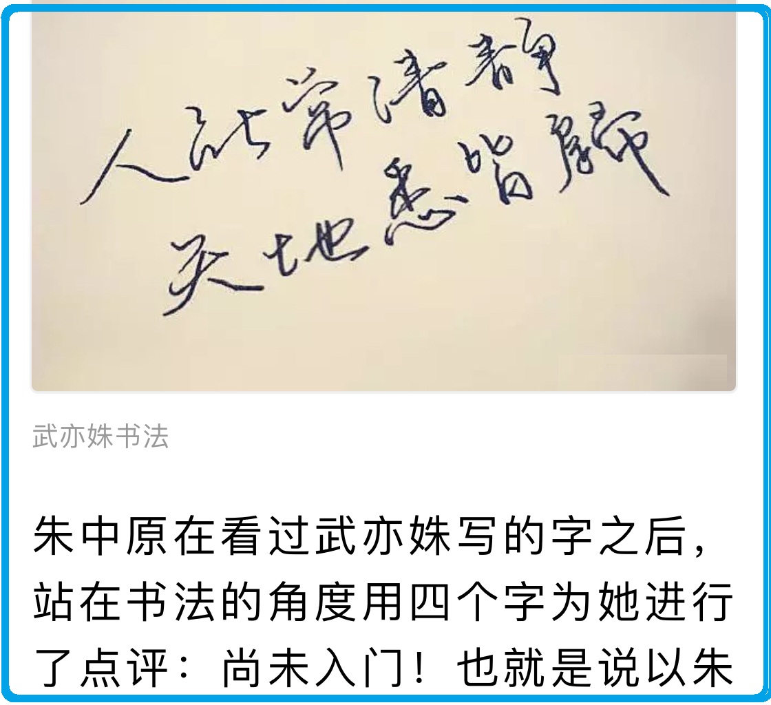 武亦姝不是书法家,字练成这样应该肯定,这位专家的评论太不中肯