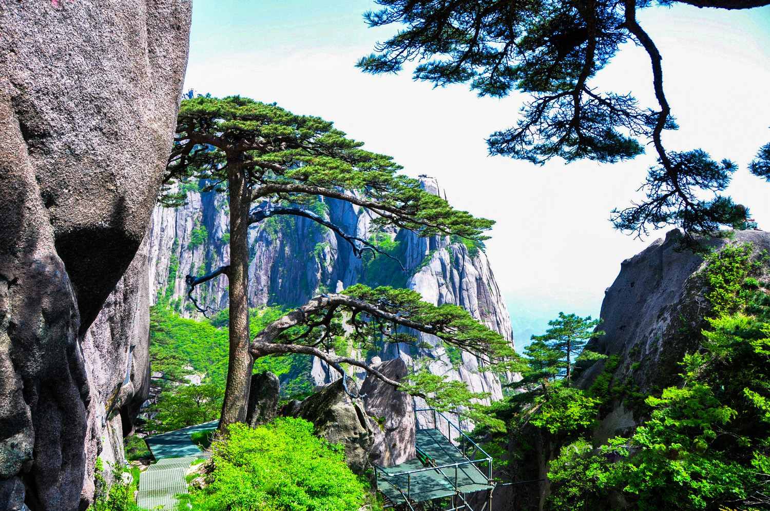 "三山五岳"之安徽黄山风景实拍