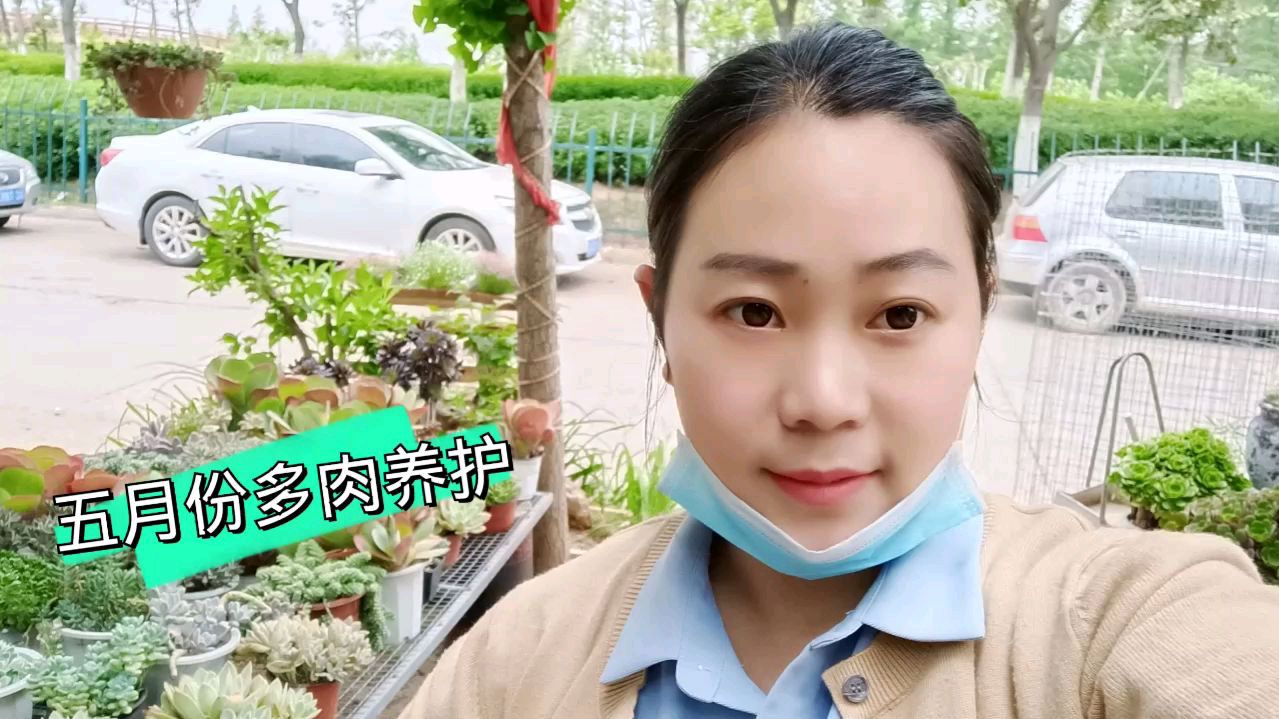 五月份多肉日常养护,怎样在春末夏初给多肉做好过渡,小敏来教你