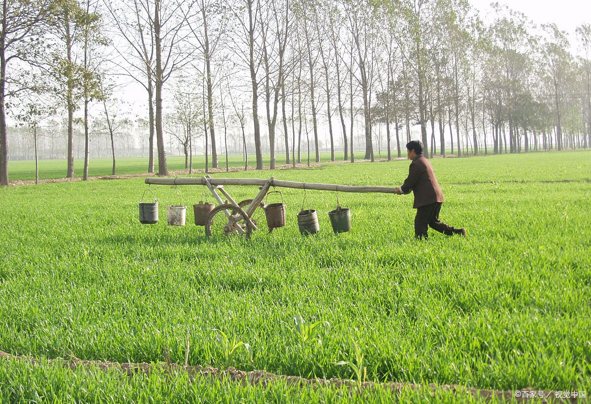 有机肥发酵 - 优质问答专区