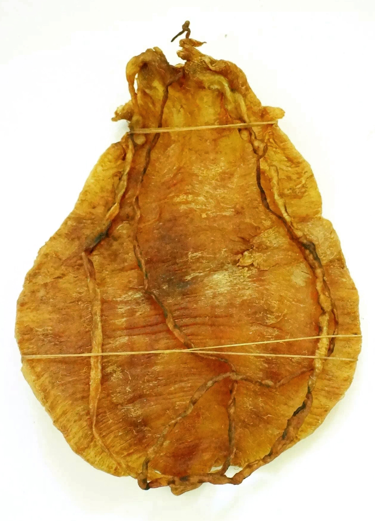 金钱鳘鱼胶分为大须金钱鳘和短须金钱鳘.