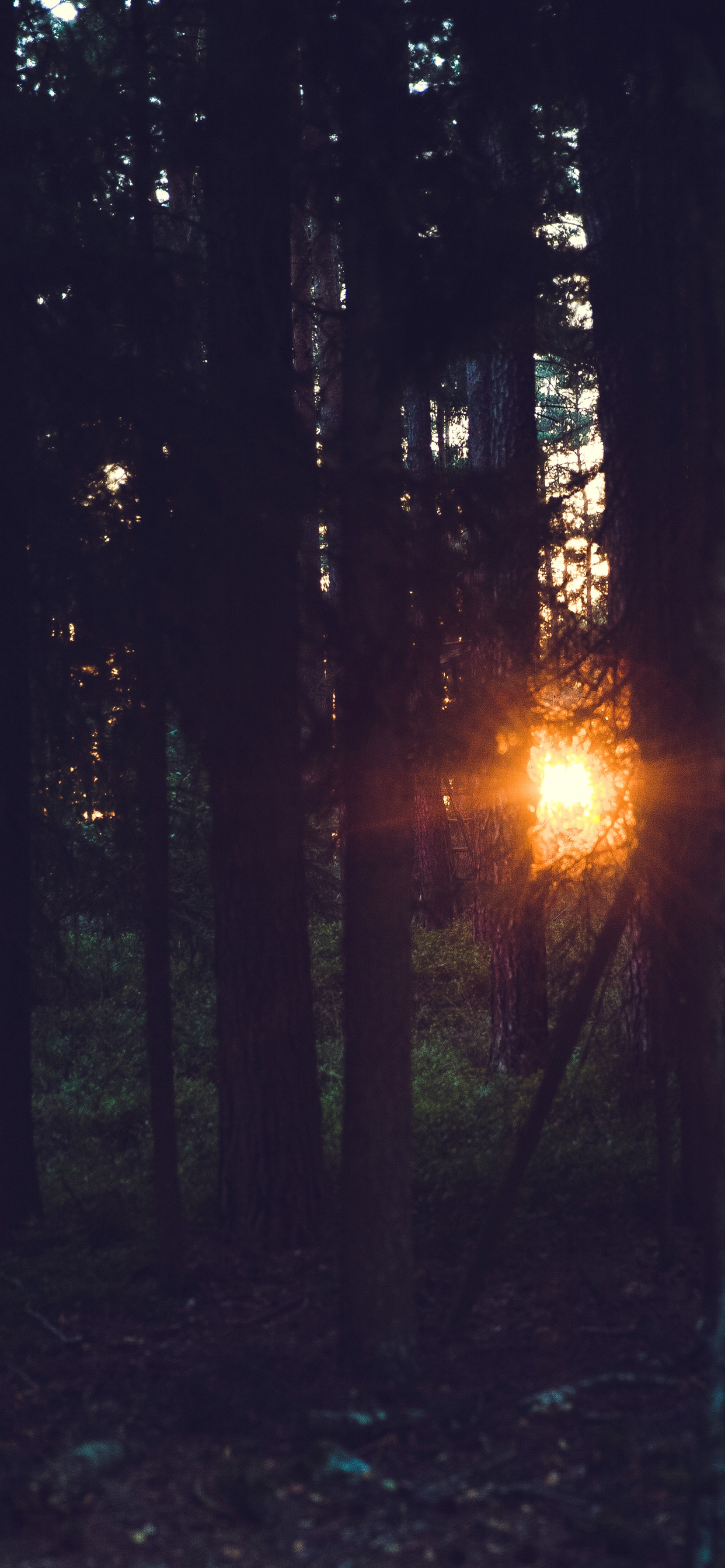 16款黑色系iphone xs max专用高清壁纸,真的很好看