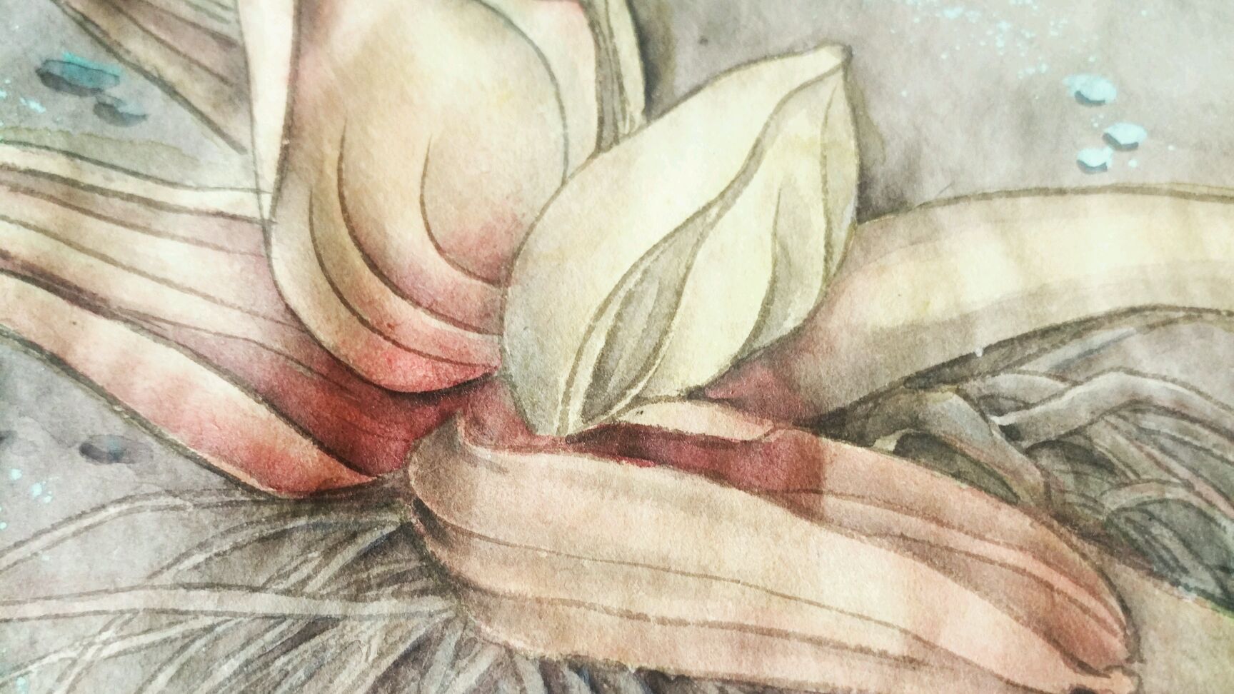 鱼戏新荷,工笔画染色步骤分享一