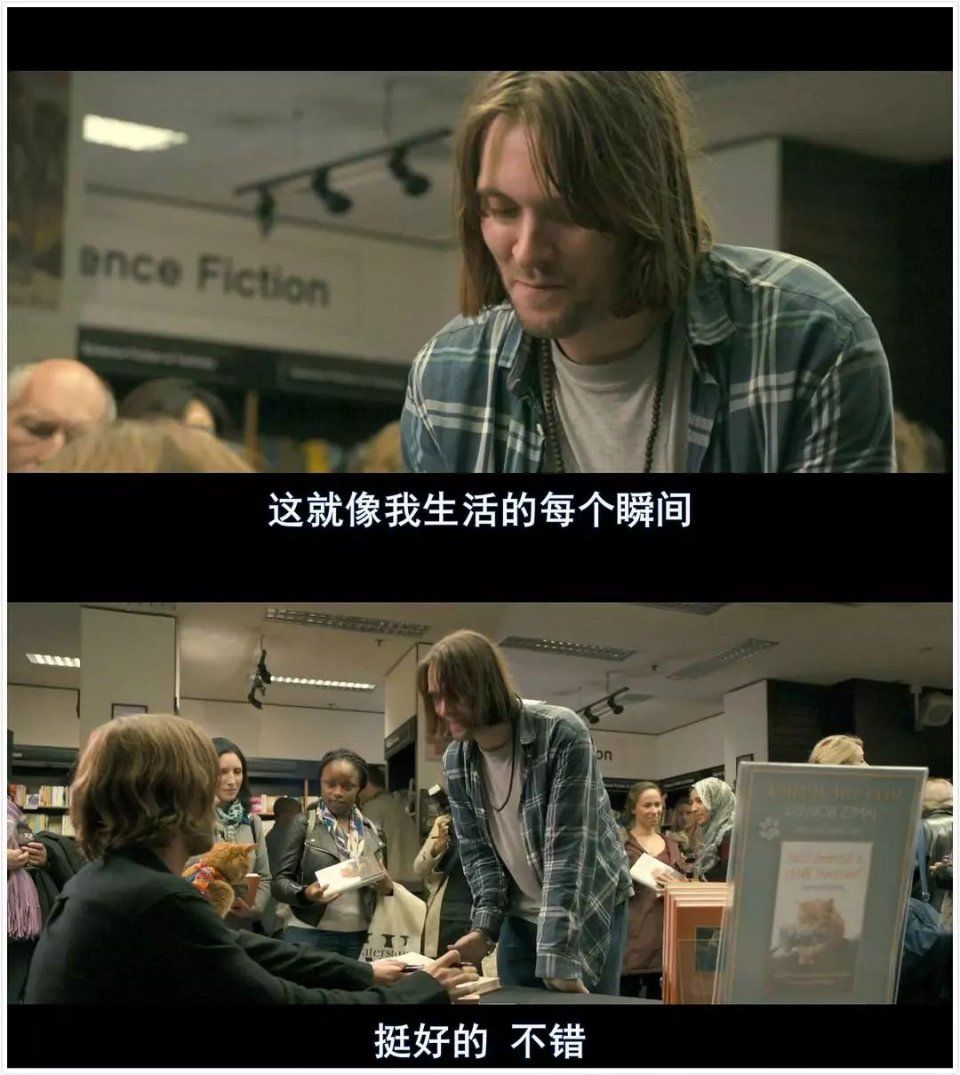 《流浪猫鲍勃》:豆瓣评分8.3,高分治愈你孤独的心灵