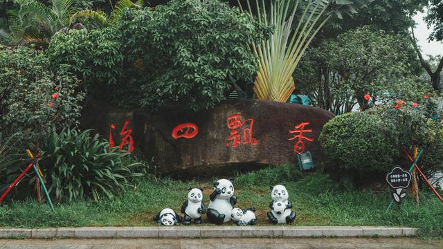 熊猫来了,东莞香市动物园成新晋网红圣地