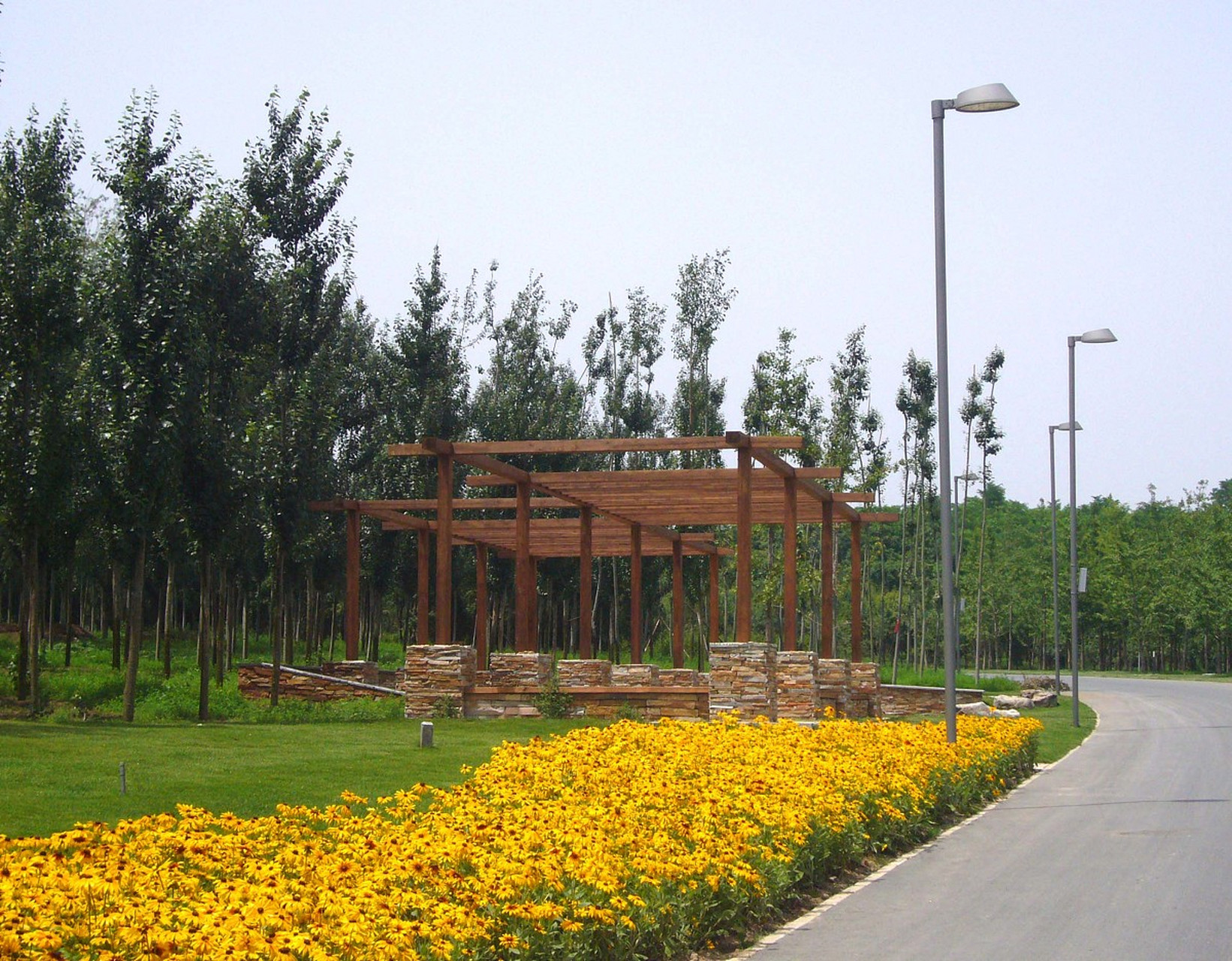 镜头里的春天# #热点引擎计划#  北京周边游,戒台寺郊野公园——桃花