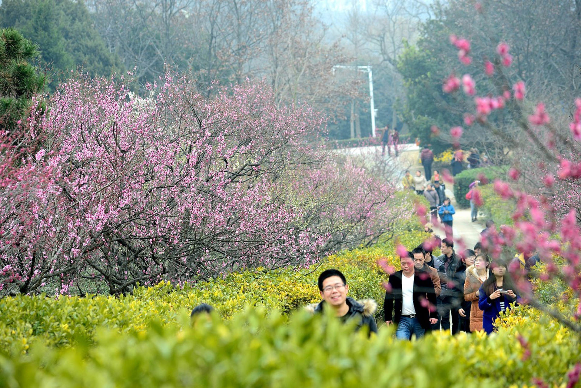 南昌梅岭植物园图片