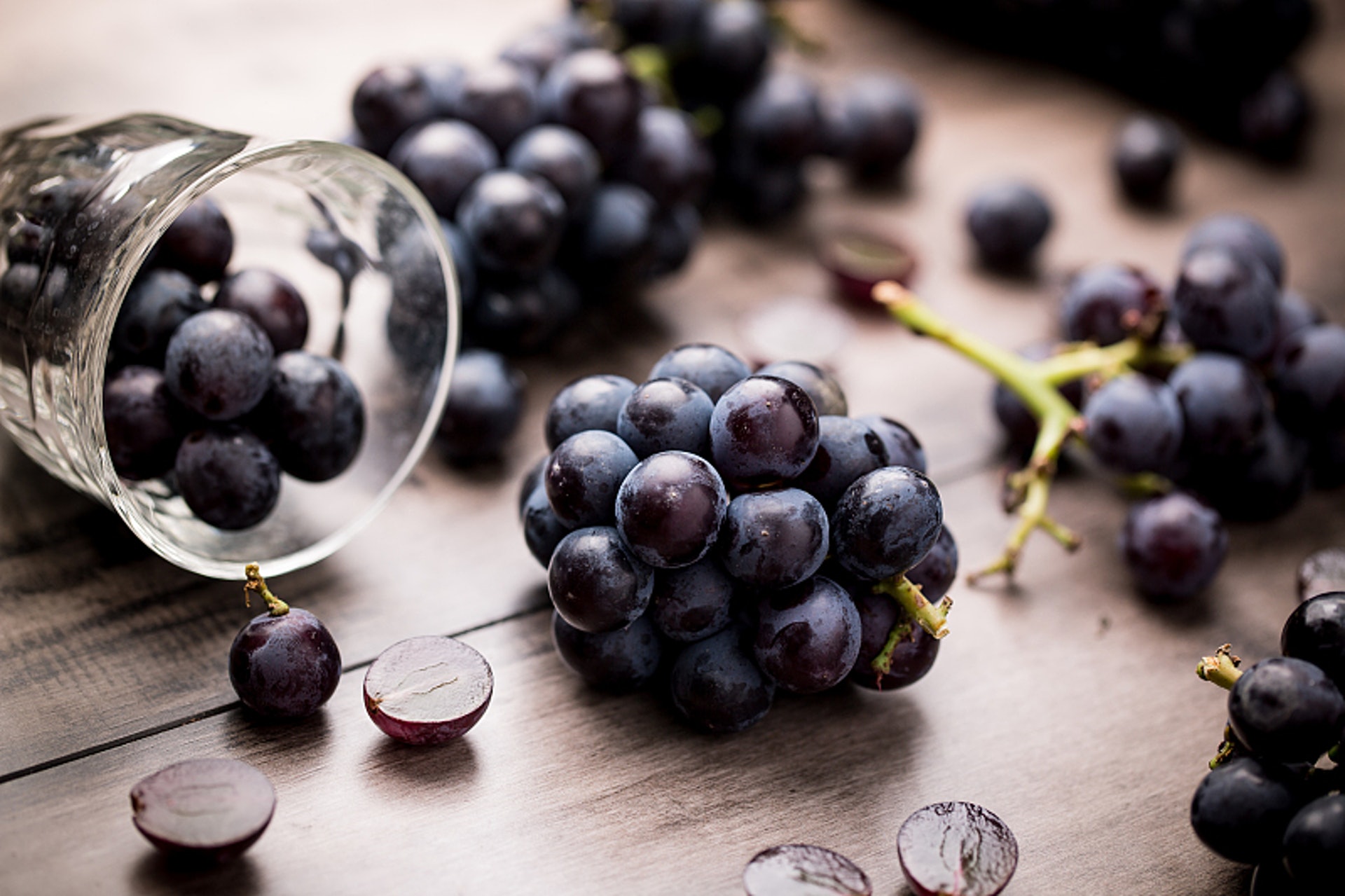 宠物冷知识,10种食物狗狗偷吃后会有生命危险,巧克力不是最毒的