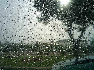 未来三天重庆阴雨不断 主城最高17