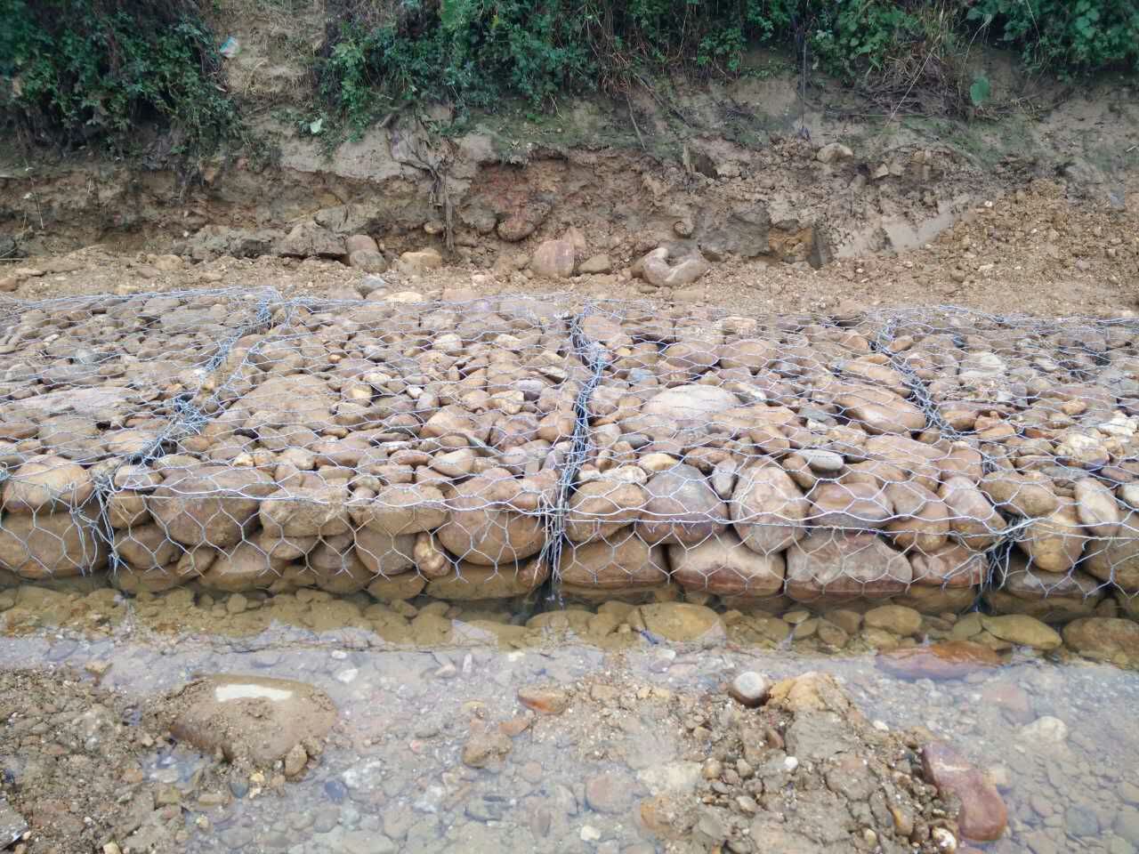 网笼- 热门商品专区