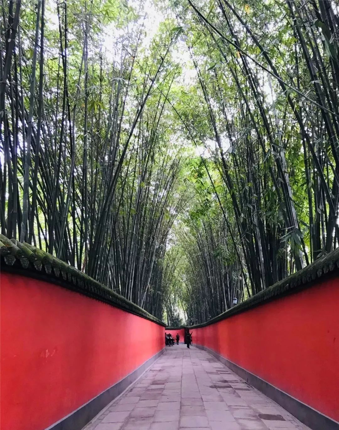 成都武侯祠的这个地方,既浪漫又神奇