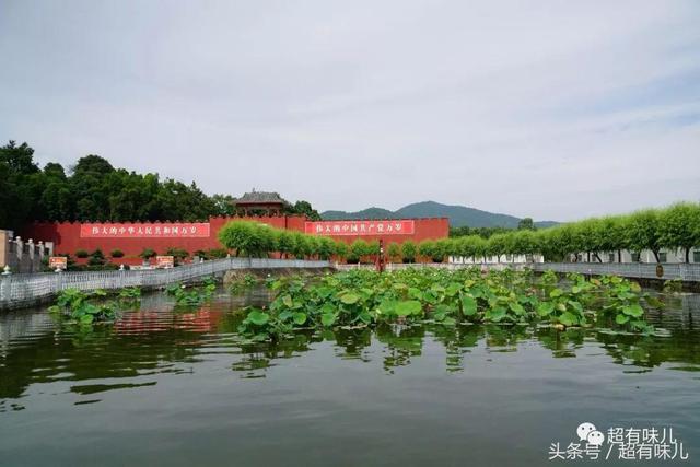 抚州周边游:夏日六月中,徐坊赏荷去