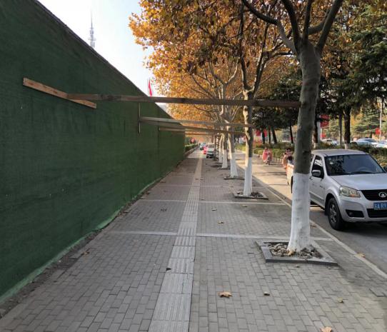 用"伤树"的方式加固围挡,不可取!