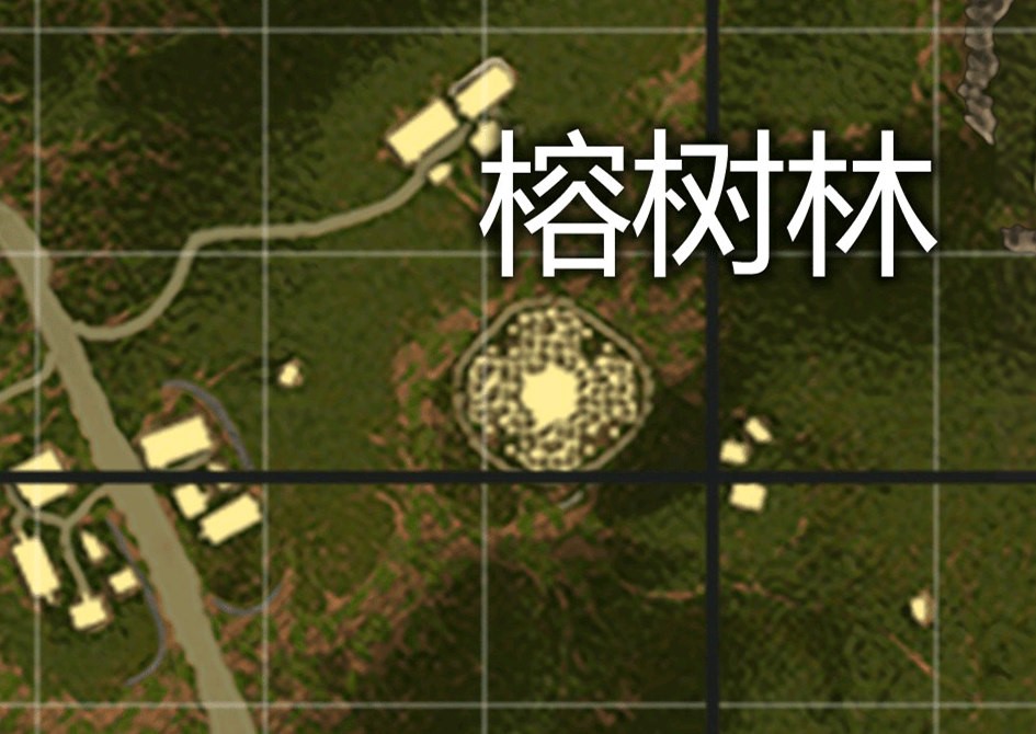 刺激战场:雨林地图三大最佳落地点,人少资源多!