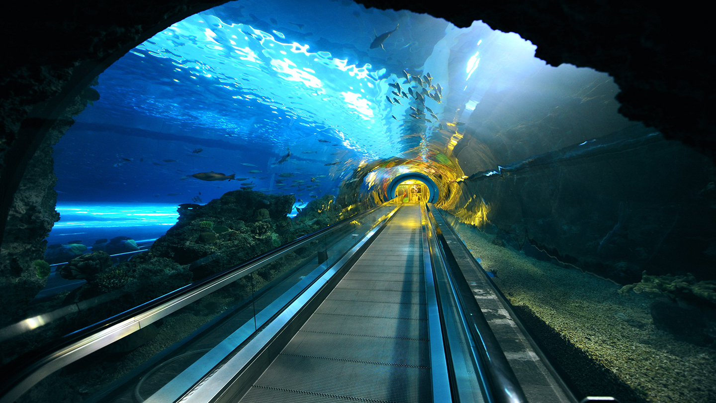 渤海湾隧道图片