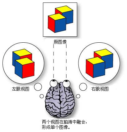 3d电影与立体视觉的关系