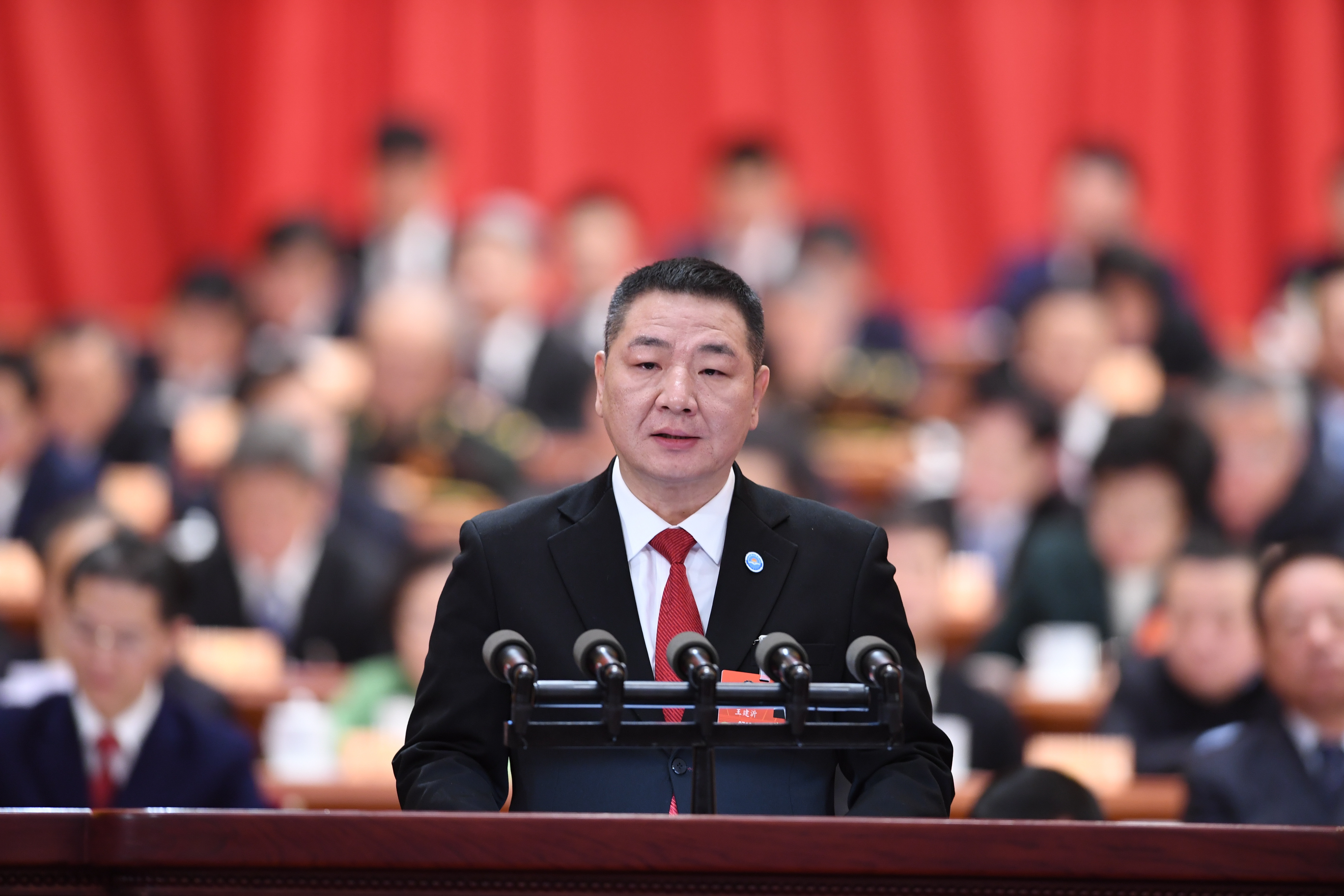 全国政协十三届一次会议第二次全体会议大会发言(10)