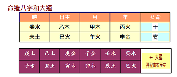 八字实例分析:乙木女命伤官用印金水相涵,读书出色才能出众