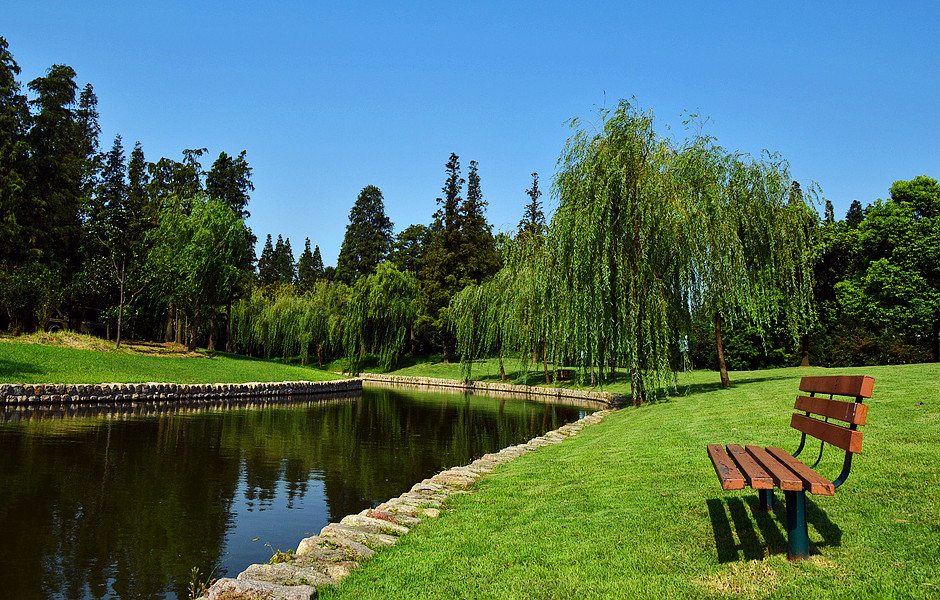 除了上海市濱江森林公園,上海市南翔古猗園,人氣很旺的景點還有這些呢