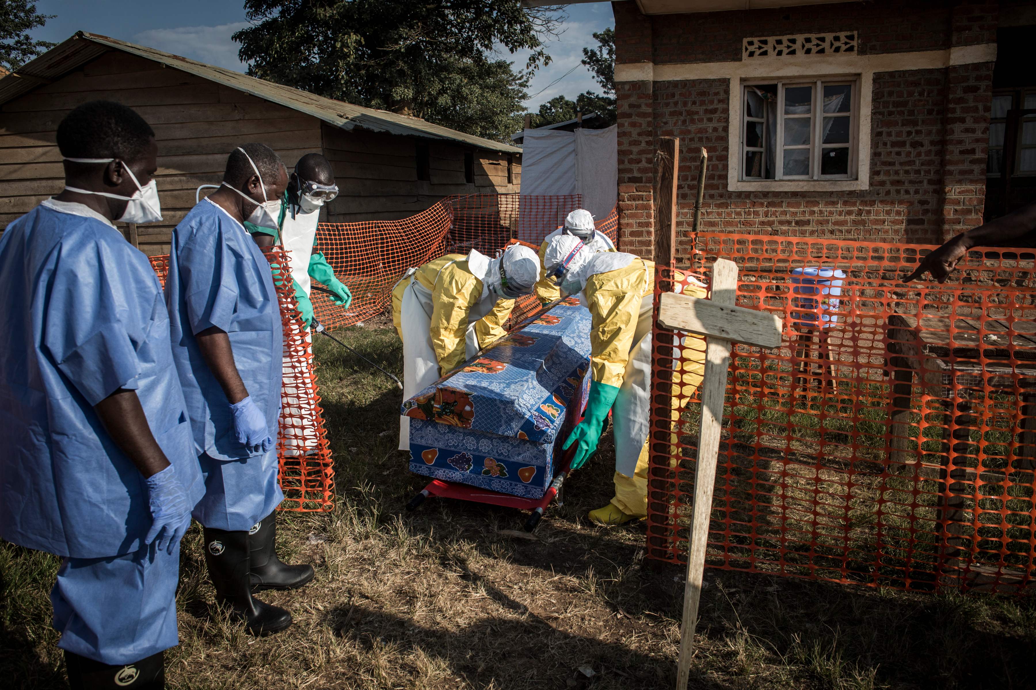 埃博拉病毒传播图片