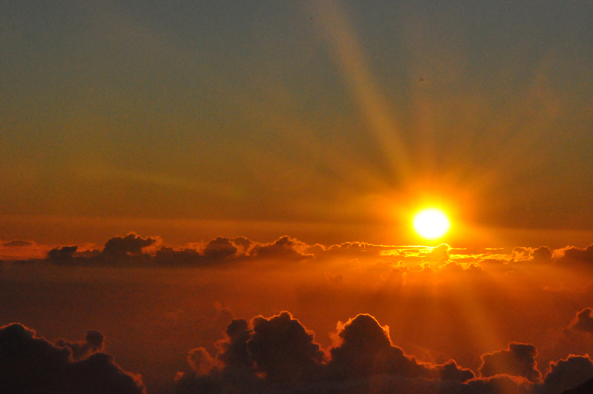 旭日东升,金色的阳光洒满大地,将一切笼罩在温暖的怀抱中.
