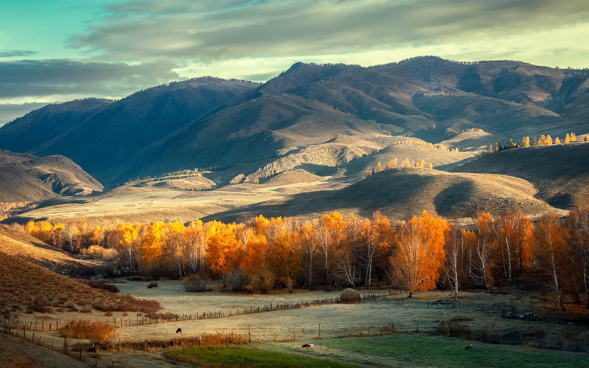 申论对策题:假定你是职能部门工作人员,就ppa风波提出善后意见