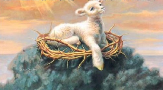 宙斯爱肥牛,上帝最爱的祭品是健美的小羊羔,而撒旦只要灵魂