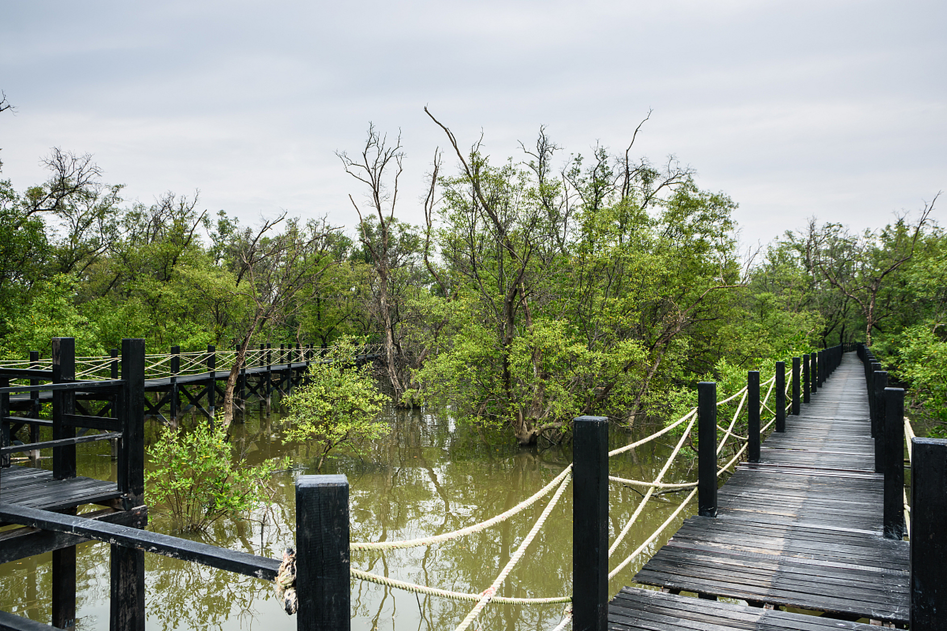 上周末,我终于踏上了心心念念的南京游子山休闲旅游区之旅.