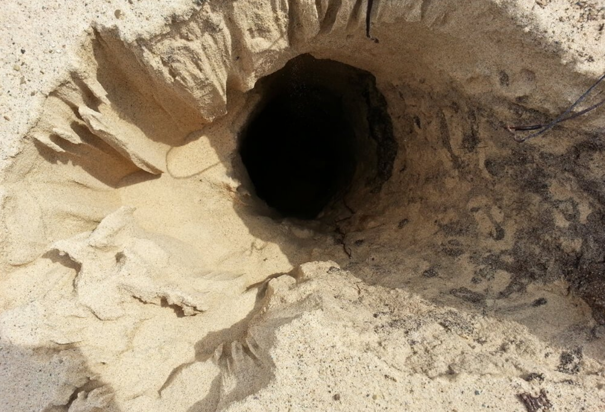 被保护的秦公一号大墓竟被盗,盗洞直通主棺!专家:此乃祖师爷